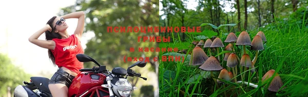 марки nbome Алзамай